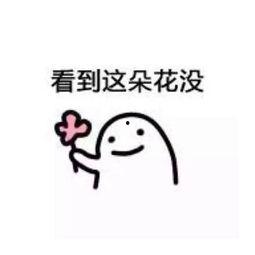 不要送花节的表情包,节日里的另类祝福
