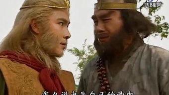 张卫健版西游记演员表,经典角色齐聚，演绎传奇冒险之旅